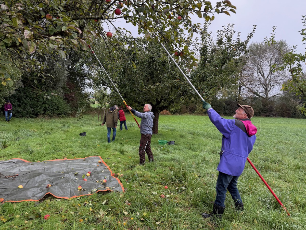 Nachlese zur Mostaktion 2025